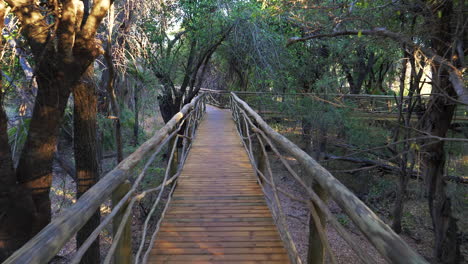 wooden walkway surrounded by trees into the safari lodge in okavango delta, botswana