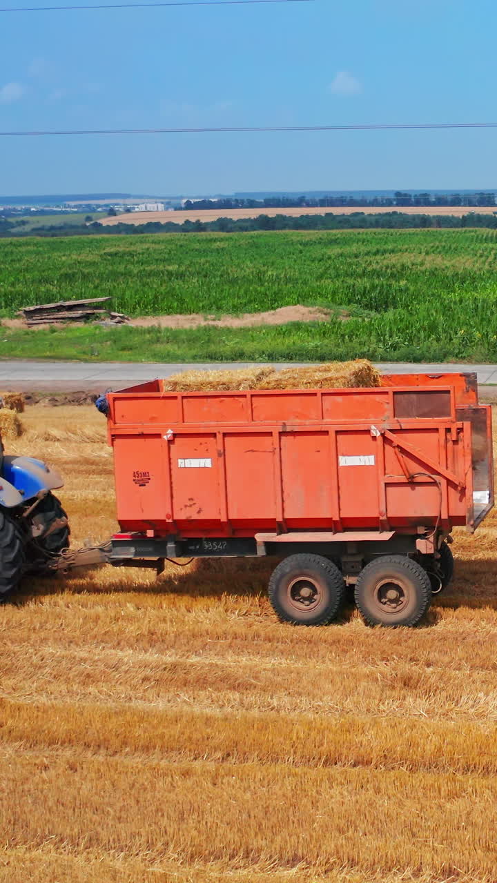 Agricultural farming landscapes. Autumn seasonal grain fields. Vertical video