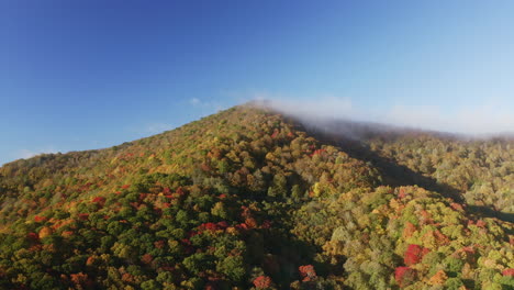 drone aerial view of an autumn mountain in the fall appalachia north carolina usa