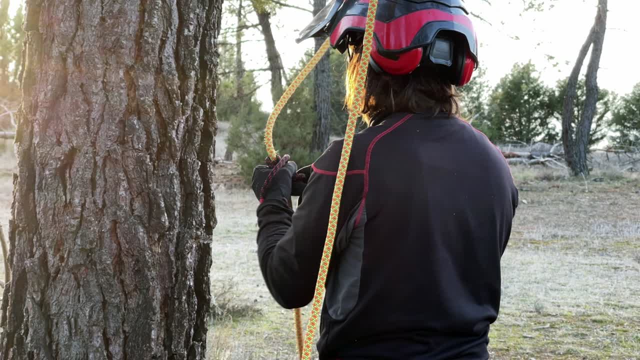 Woman worker unties rope in forest for high altitude pruning