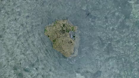 Top-Down-Slow-Motion-Drone-View-of-Waves-crashing-over-shallow-coral-reef-and-big-rock-in-Uluwatu-Bali-Indonesia