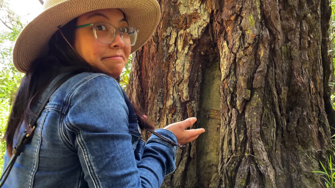 una mujer asiática con una chaqueta de vaqueros y sombrero llama a una puerta oculta que encontró en un árbol en el bosque