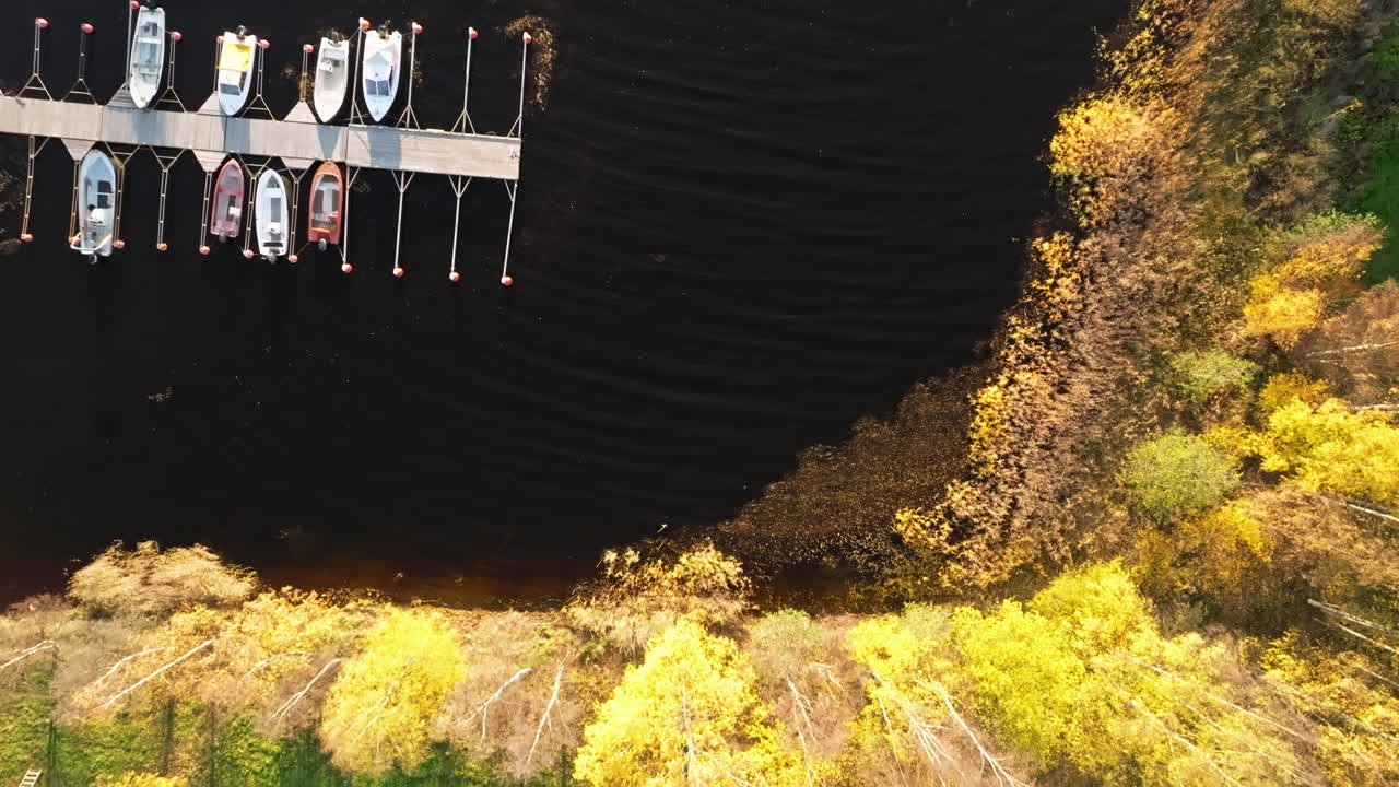 스웨덴의 해가 지는 호수 의 버치 숲에서 가을 색 속에서 레크리에이션 차량