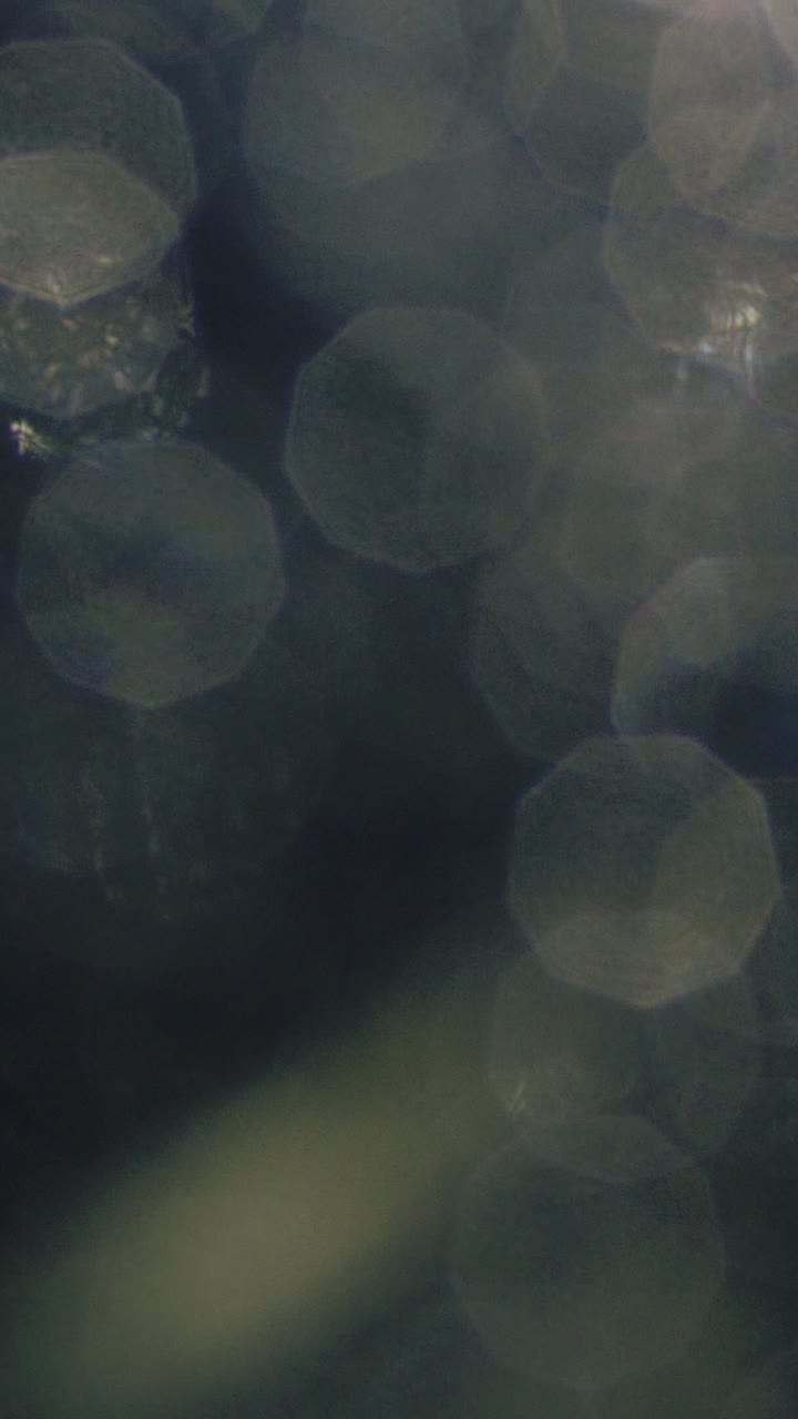 Abstract Shimmering Bokeh Light Circles on Dark Background