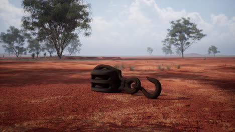 rusty pulley and hook in the australian outback