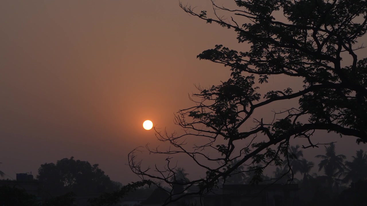 सुबह पेड़ों के पास से सूरज निकल रहा है