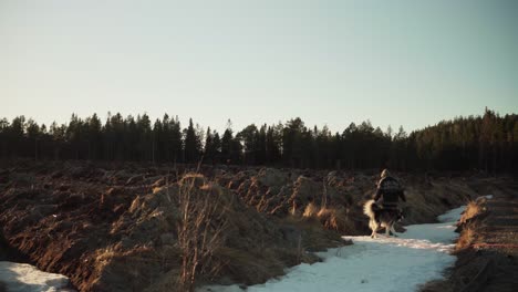 Blick-Auf-Einen-Mann,-Der-Eimer-Und-Schaufel-Hält-Und-Mit-Seinem-Hund-Erde-Sammelt