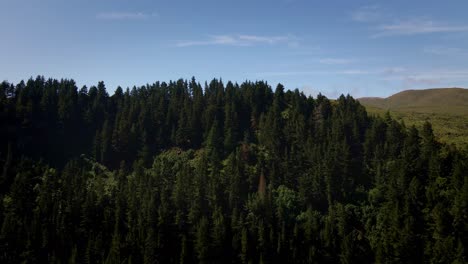 DRONE-flight-over-dark-forest-to-reveal-rolling-green-hills-in-southern-New-Zealand