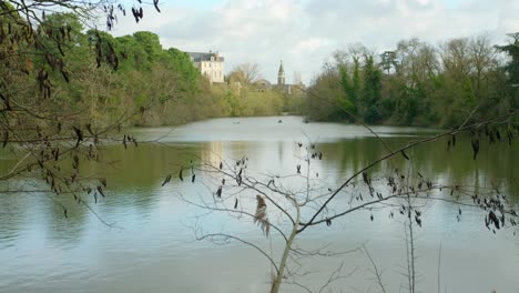 étang saint-nicolas park with quiet lake in angers, maine-et-loire, france