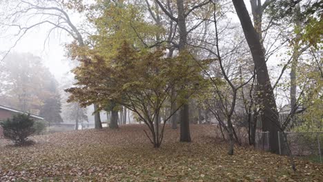 Hojas-De-Un-Roble-Cayendo-En-Otoño