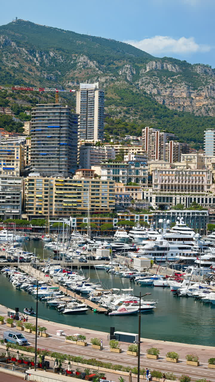 Vista di barche ormeggiate nel porto turistico di Monaco con lo skyline della città sullo sfondo. Verticale