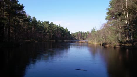 Cinematic-aerial-drone-footage-flying-close-over-a-frozen-loch-surrounded-by-a-forest-plantation-of-native-Scots-pine-and-birch-trees-in-Scotland-with-clear-blue-skies-in-winter