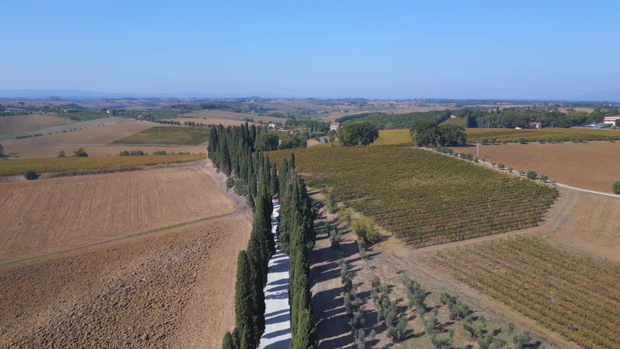 최고의 항공 탑 뷰 비행 토스카니 사이프러스 골목 도로 지중해 이탈리아 가을 23