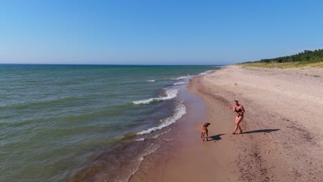 drone view of young woman in swimsuit playing with hungarian vizsla dog on sunny baltic sea beach in latvia aerial footage of joyful summer moment by the coastline in natural scenic setting