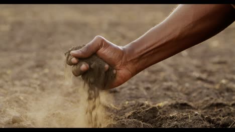 farmer's hand checking soil quality