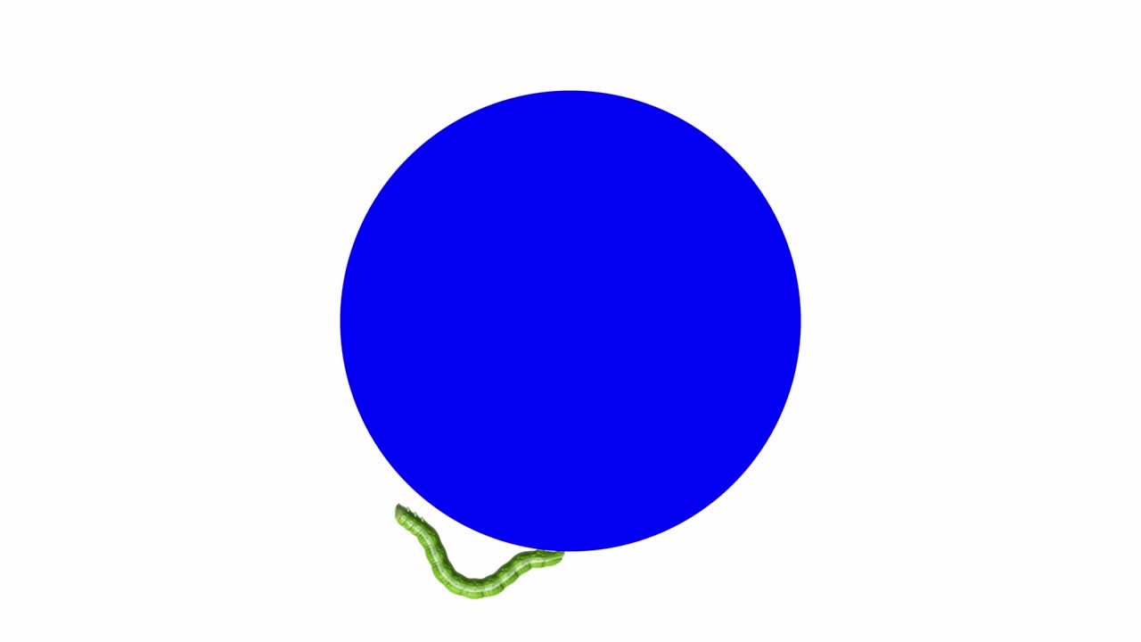 oruga en el círculo azul, animación en 3d en bucle