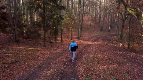 Young-Man-Walking-Through-a-Forest-in-Autumn-Scenery