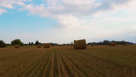 el campo con rollos de heno
