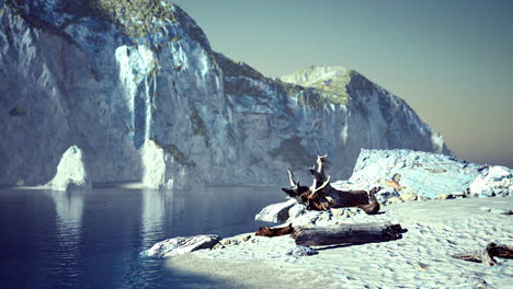 serene coastal landscape with cliffs and calm waters during twilight hours