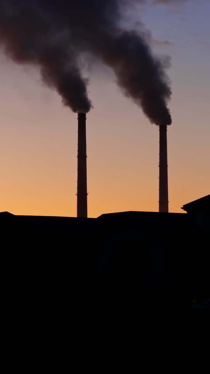 Paesaggio rustico con silhouette scura di una casa e due tubi di piante dietro. Cielo al tramonto sullo sfondo. Video verticale