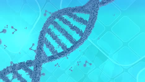 hélice de dna girando sobre un fondo azul