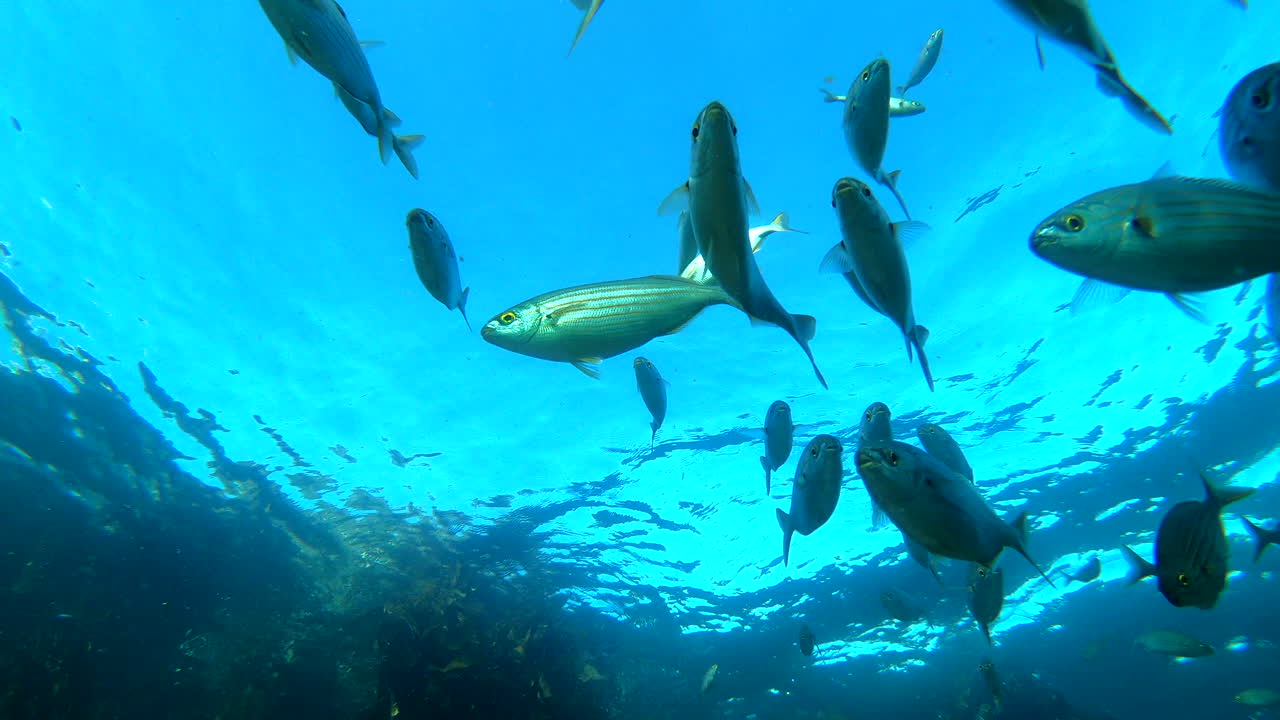 파란색의 아름다움