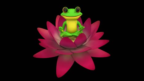 frog lotus pose meditation