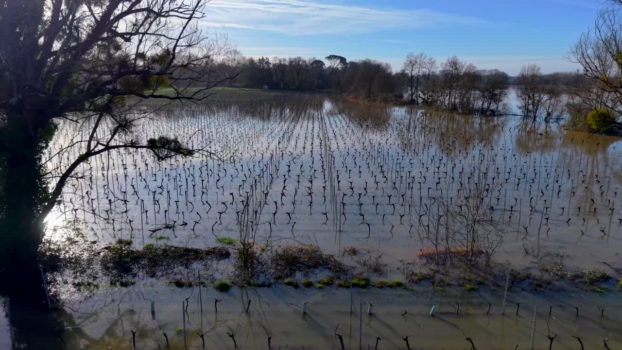 Aerial view of Bordeaux Vineyards flooded, countless vertical lines cast shadows on the water's surface, creating a rhythmic pattern of light and dark, Rions, France