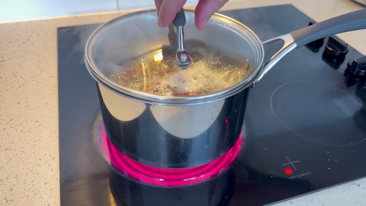 Lobster boiling in pot on induction stove