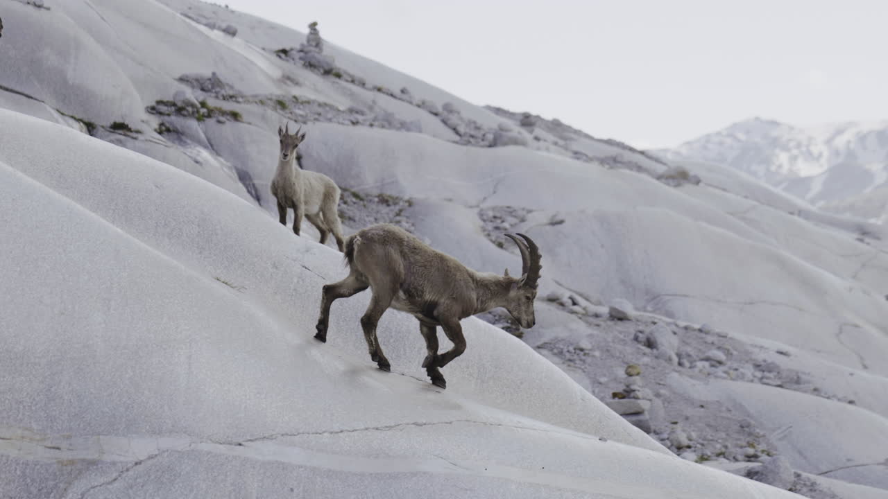 산 위 에 있는 이베크스