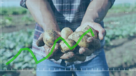 Animación-Del-Procesamiento-De-Datos-Financieros-Sobre-Un-Hombre-Caucásico-Sosteniendo-Patatas-En-El-Jardín