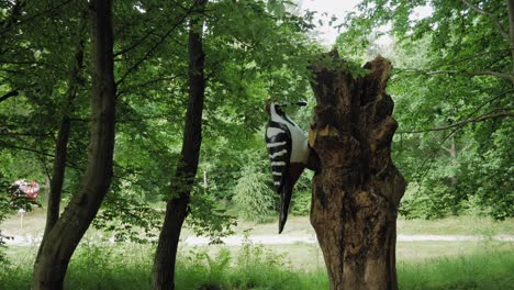 Gran-Modelo-De-Pájaro-Carpintero-En-El-Parque-Kashubian-De-Gigantes-En-Strysza-Buda,-Polonia