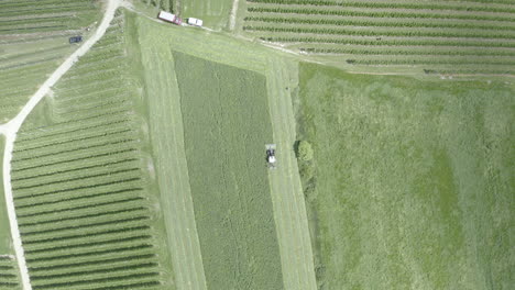 tractor mowing grass on meadow, south tyrol farmland landscape, aerial view