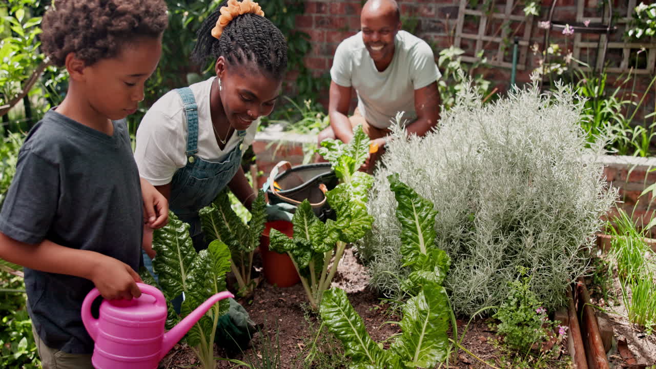 가족 정원 재미