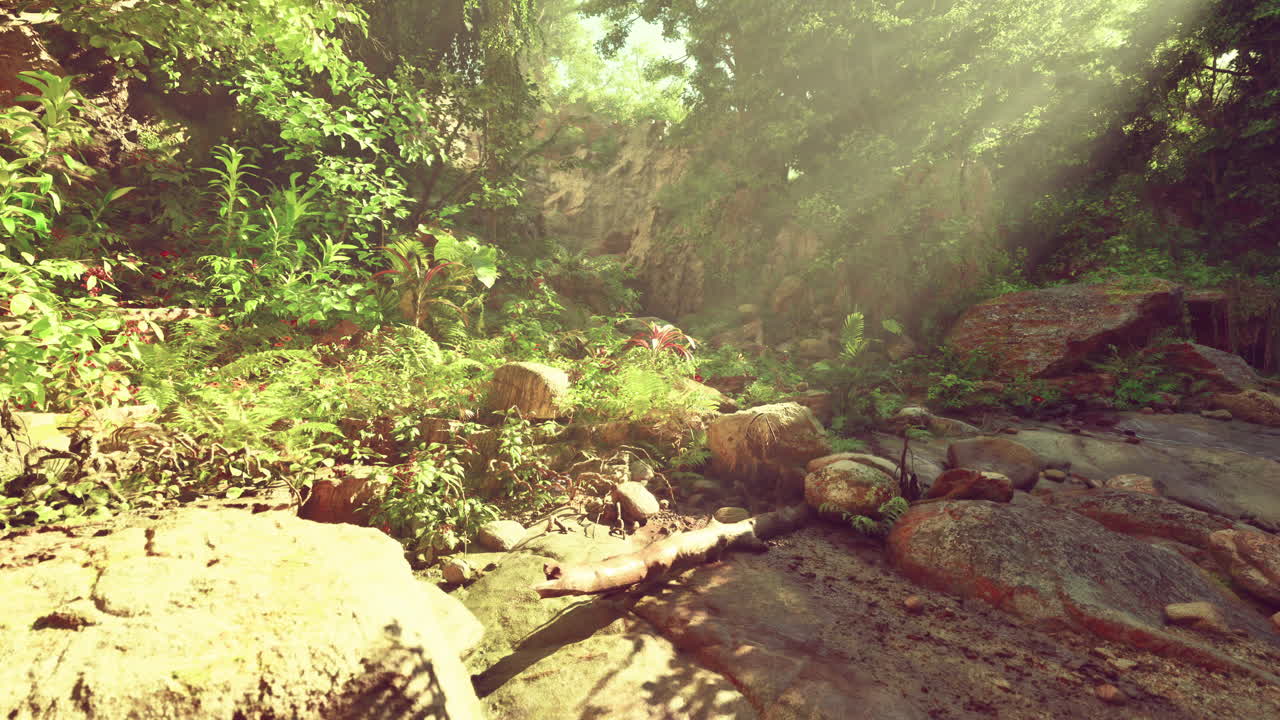 푸른 숲 을 가로질러 흐르는 하천