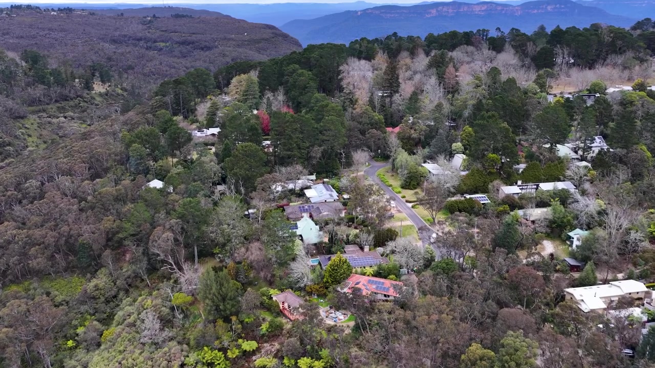 Droonikuva esikaupunkitaloista eukalyptus-puiden keskellä Wentworth Fallsissa, Blue Mountainsilla, Australiassa