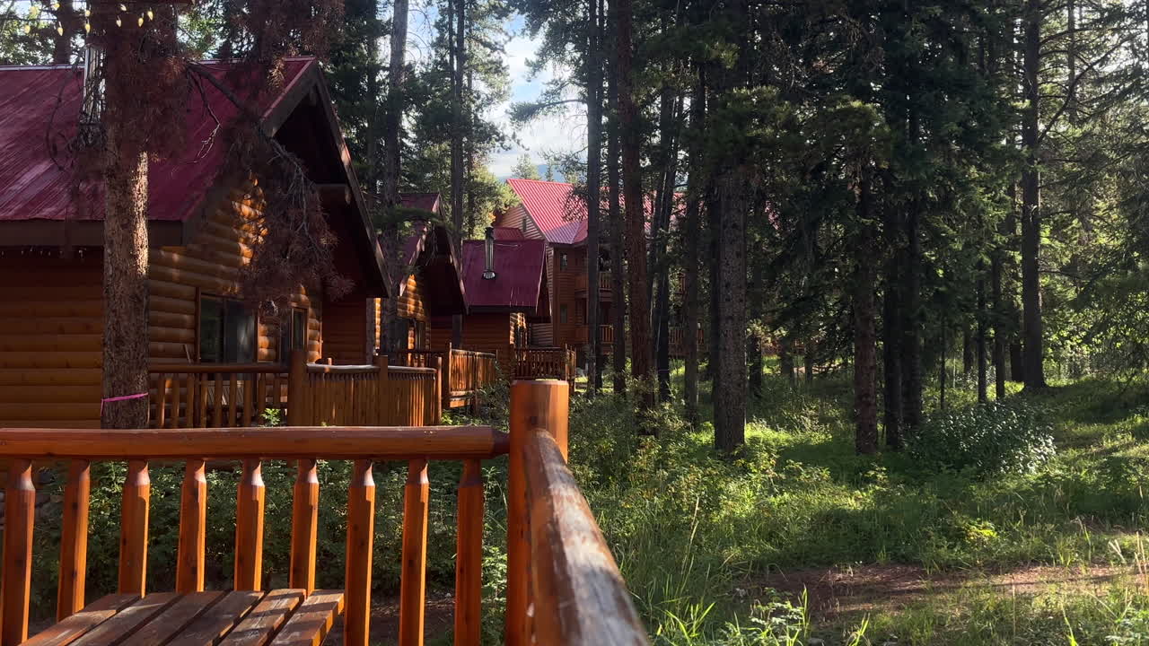 Wooden cabins in middle of forest at golden hour. Static