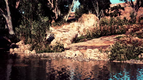 a serene lake in a forest