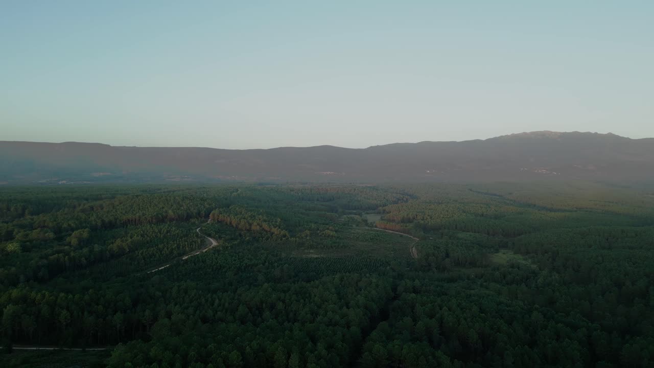 해가 지는 동안 미라그로스 사원을 둘러싼 숲의 아름다운 공중 풍경