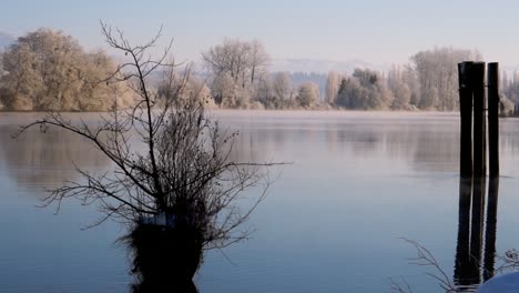 Ein-Kalter-Wintermorgen-Am-Snohomish-River