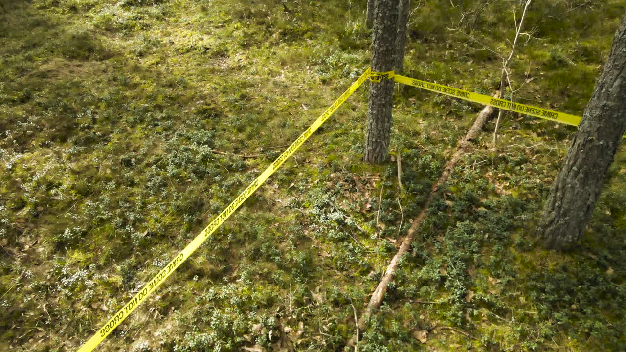 Yellow crime scene do not cross barrier tape sealing off a restricted area deep inside a pine forest, indicating a police investigation, forensic search, or forbidden zone for safety