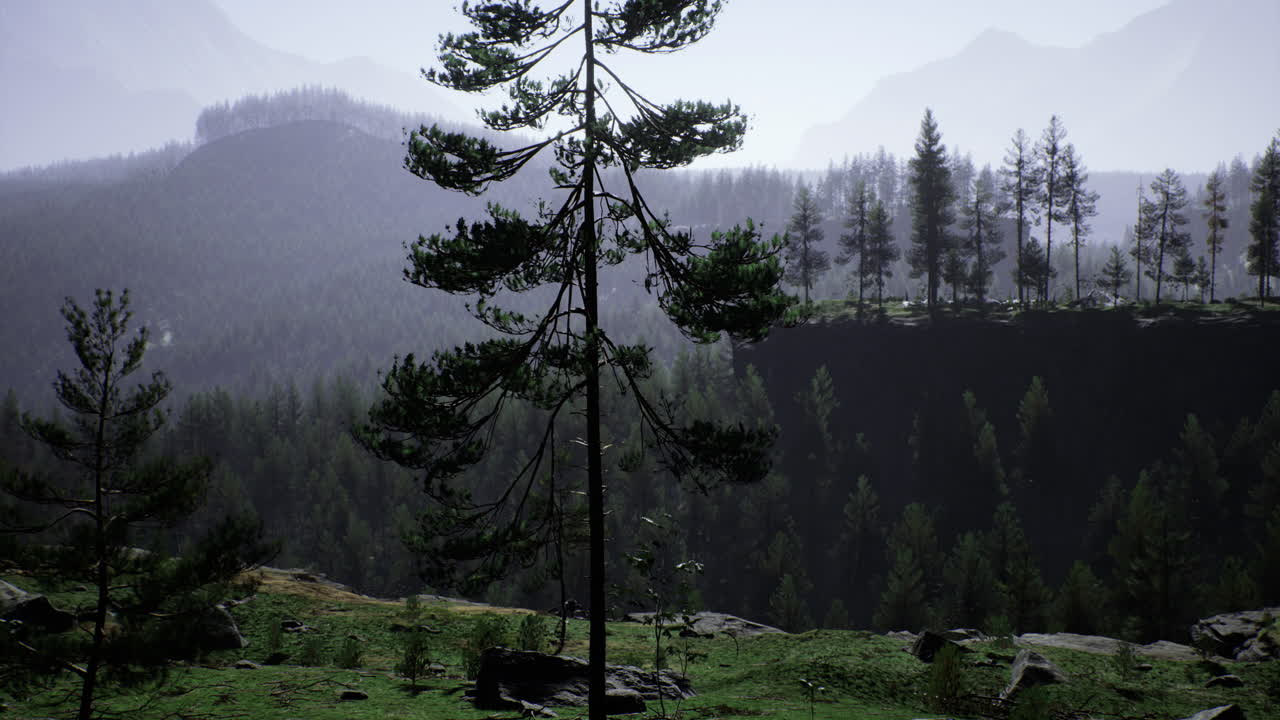 Lush green forest landscape with distant mountains and misty atmosphere