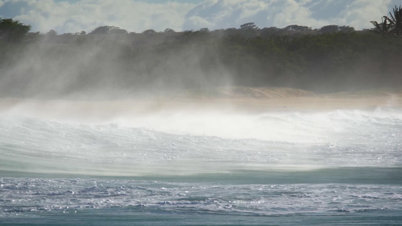 푸른 파도가 하와이 해안으로 밀려와 해안에 부서진다 10