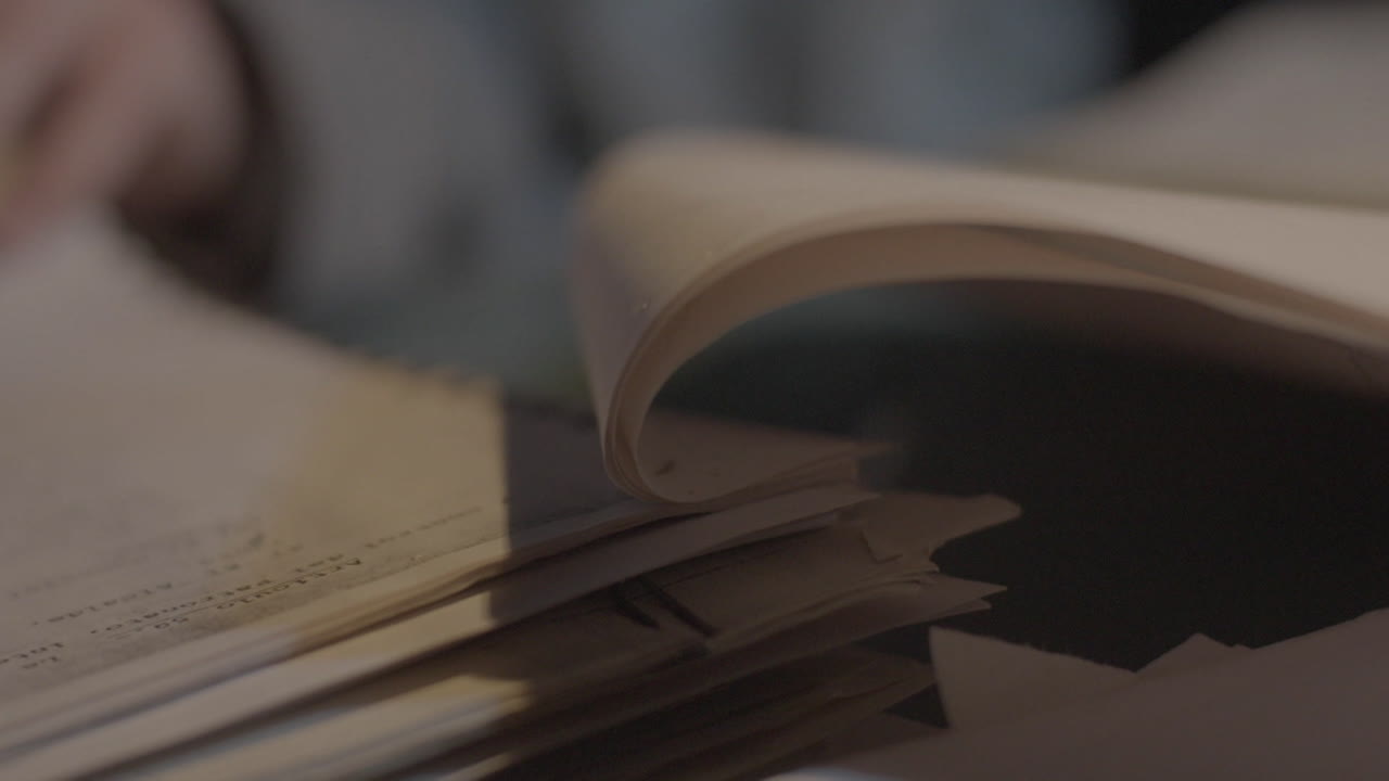 Person Reading Documents