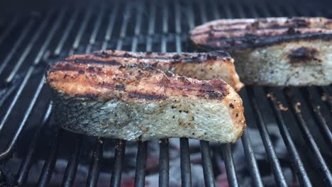 grilling wild caught salmon steaks on the barbeque for a healthy entrée - isolated subtle parallax motion