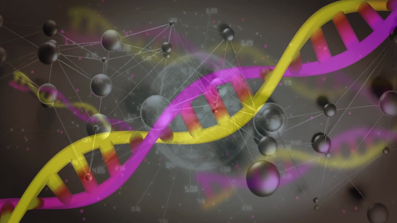 Apparizione di un nastro giallo e aggiunta di un nastro magenta, che formano un'elica rotante, con sfere pulsanti che si collegano