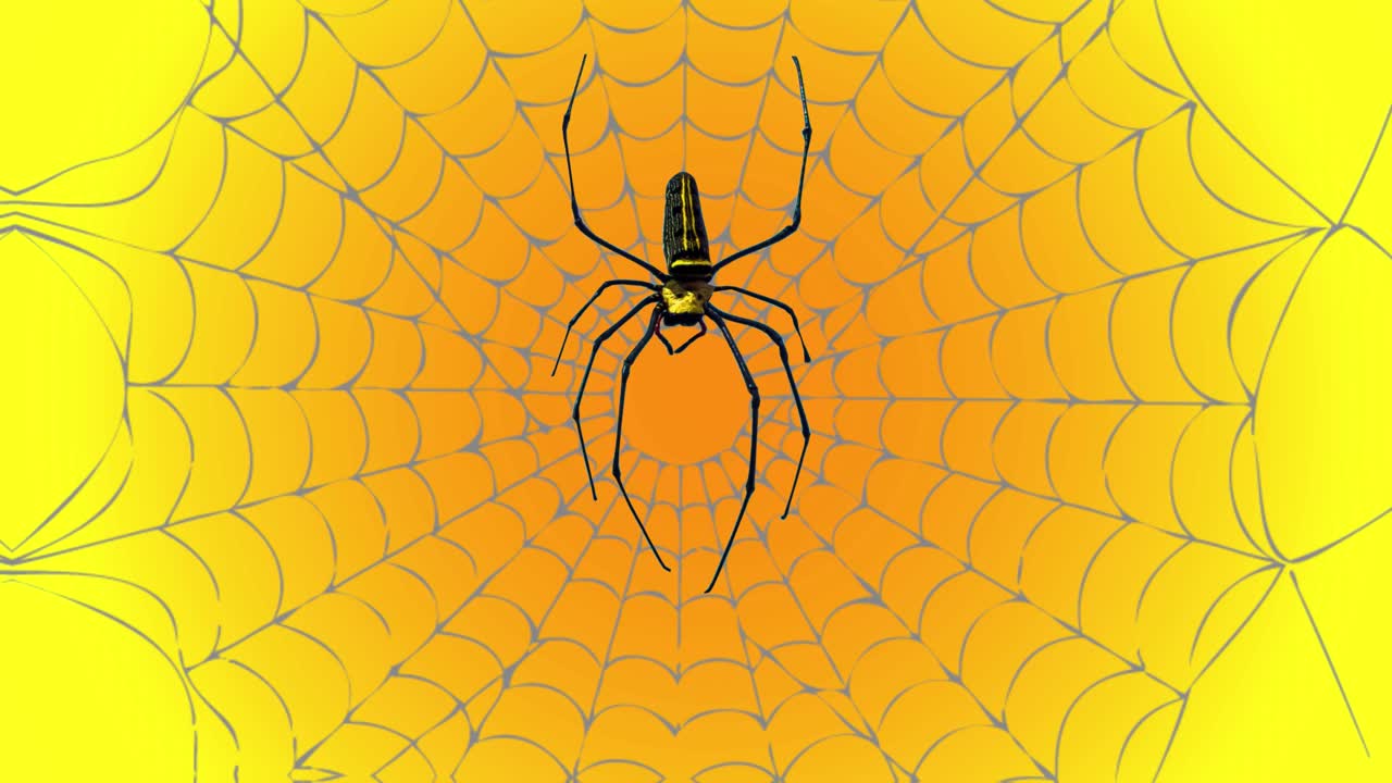 소름 끼치는 거미가 웹 아래로 기어갔다가 위로 올라갑니다.