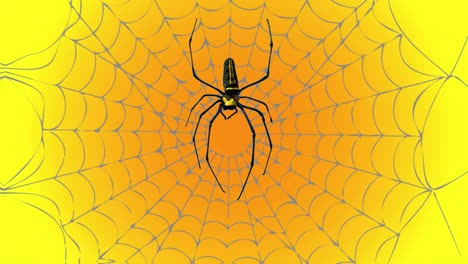 araña espeluznante arrastrándose por la web y luego subiendo
