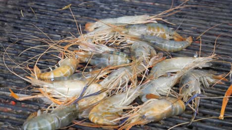 grill cooking river prawn on hot charcoal