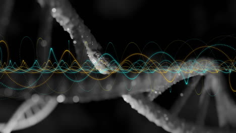 Animation-Des-DNA-Strangs-Und-Der-Datenverarbeitung